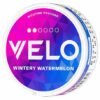 VELO Wintery Watermelon Mini